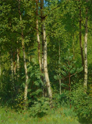Кугач Юрий Петрович. Березовая роща 